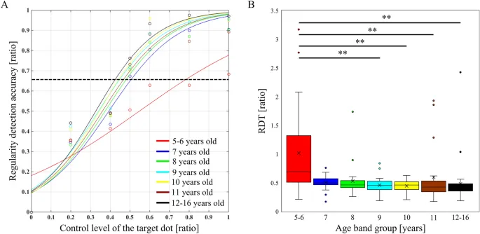 Рис. 2. Кривые вероятности обнаружения закономерности «действие-результат» по возрастным группам (A) и сравнение порогов обнаружения закономерности (RDT) между возрастными группами (B).