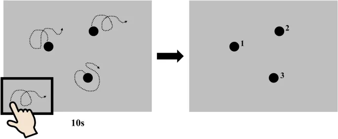 Рис. 1. Схема экспериментальной установки для определения закономерности «действие-результат».