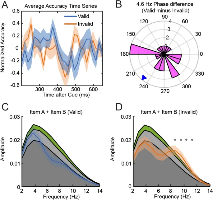 Рис. 4: Анализ точности с использованием перемешивания времени.
