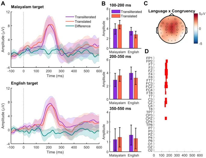 Рисунок 2: Усредненные ERP для каждого условия