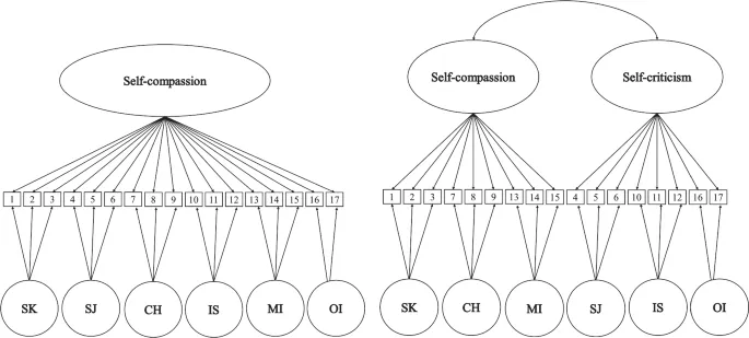 Рисунок 2: Шкала SCSY