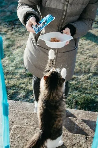 Источник: NastyaSensei/Pexels