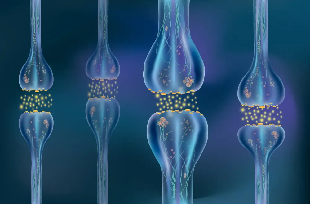 Крупный план синапсов между множеством нейронов.