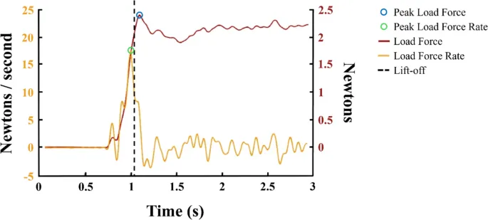 Рис. 1 Иллюстративный пример данных о силе нагрузки и скорости силы