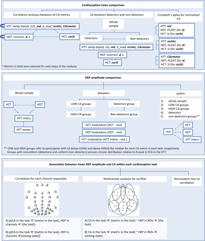 Рис. 6. Схема статистического анализа. Примечание. ТКИ — точность кардиоинтерцепции, ЗПС — задача подсчета сердцебиения, ЗРC — задача различения сердцебиения, ВПС — вызванные потенциалы сердцебиения, ЗПС — задача простукивания сердцебиения, ROI — область интереса.