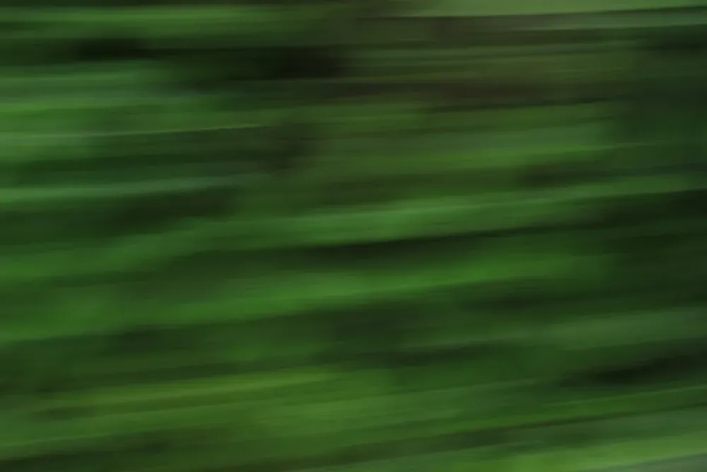 Стратегии поиска пищи у человека: влияние распределения ресурсов и времени