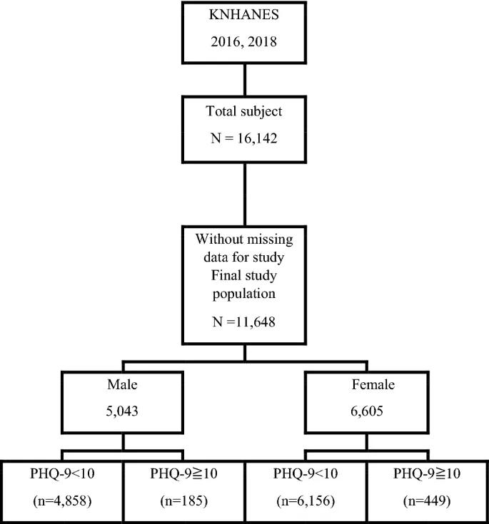 Рис. 1. Диаграмма, показывающая распределение участников по возрасту и полу.
