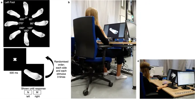 Рисунок 6: Скрытая задача «Латеральность» (LAT)