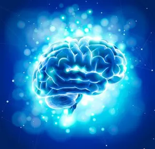Виктория / Shutterstock