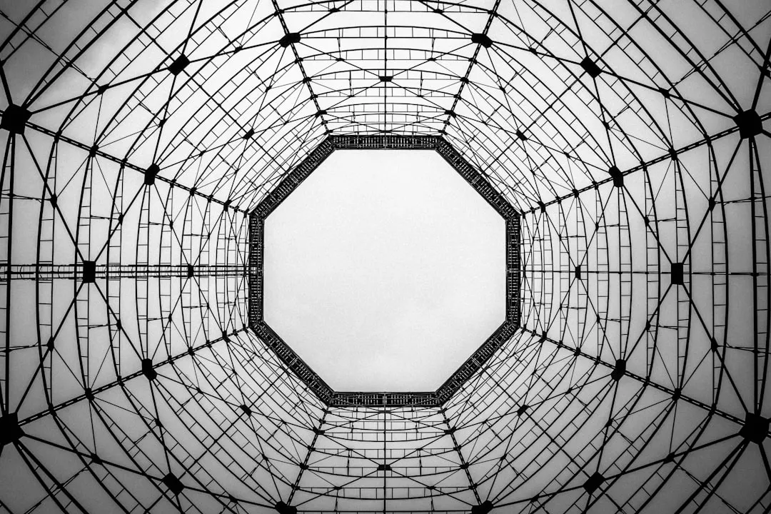 Теория реляционных фреймов и интерповеденческая психология: новое понимание