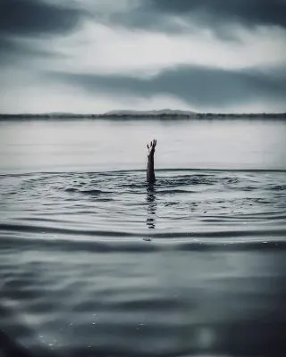 Аюб Джауро / Pexels