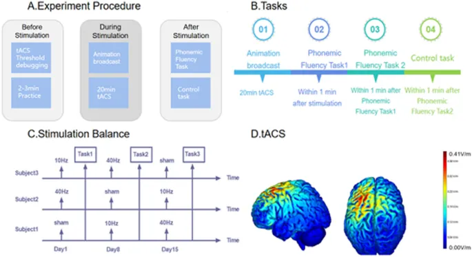 Рисунок 1: Схематическая процедура эксперимента