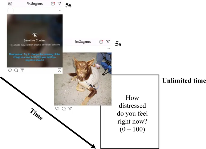 Рис. 2. Структура пробы для основной задачи с изображениями (пример пробы на переосмысление). Пример экрана с чувствительным контентом и неэкранированного изображения представляет собой нейтральное фото из собственной коллекции авторов.