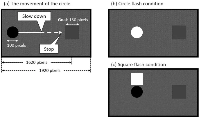 Рис. 1. Схема экспериментальной задачи.