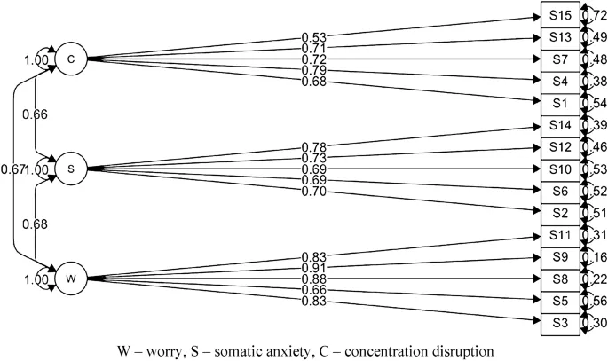 Рис. 2. 3-факторная модель SAS2