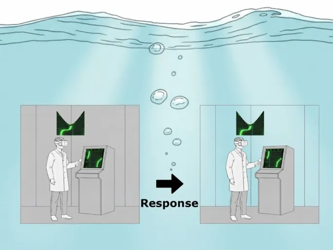 Рисунок 2: Процедура эксперимента