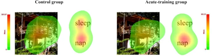 Рис. 6. Тепловые карты движений глаз.