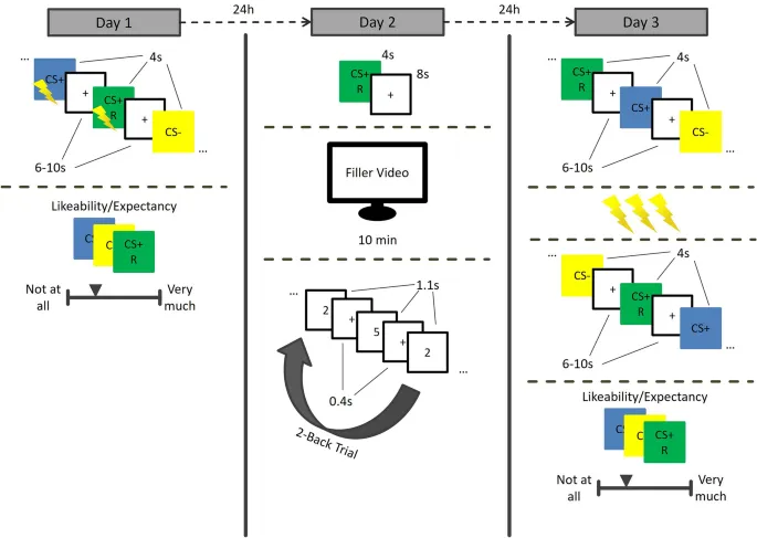 Рисунок 1: Схематическое представление парадигма.