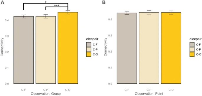 Рисунок 2: Анализ моторно-визуальной связности в различных кластерах.
