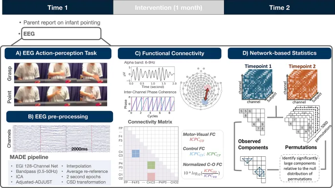 Рисунок 1: Обзор дизайна исследования.