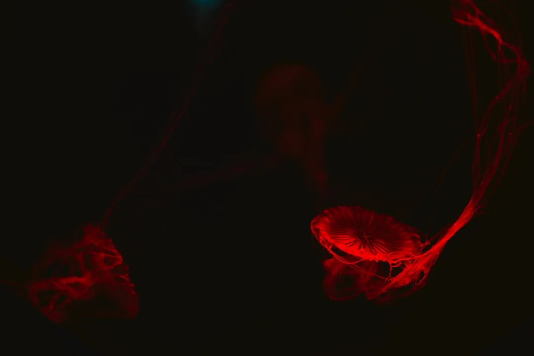 Влияние освещенности на зависимость частоты при индуцированных транскраниальной электростимуляцией фосфенах