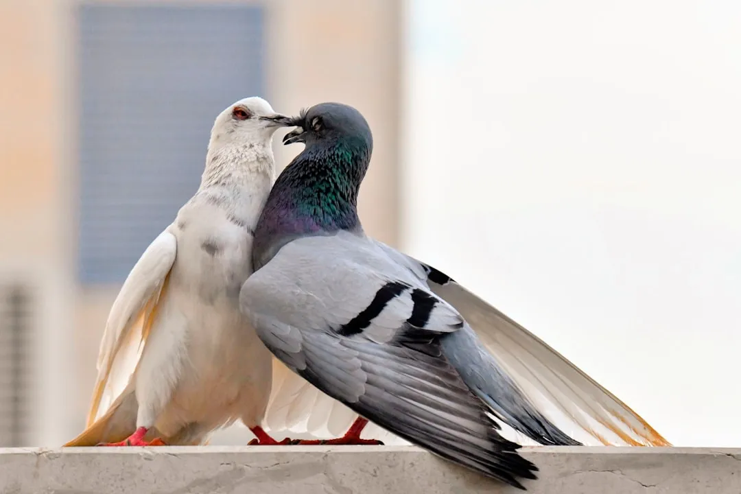 Влияние скуки и руминации на удовлетворенность жизнью в браке: исследование с точки зрения пар