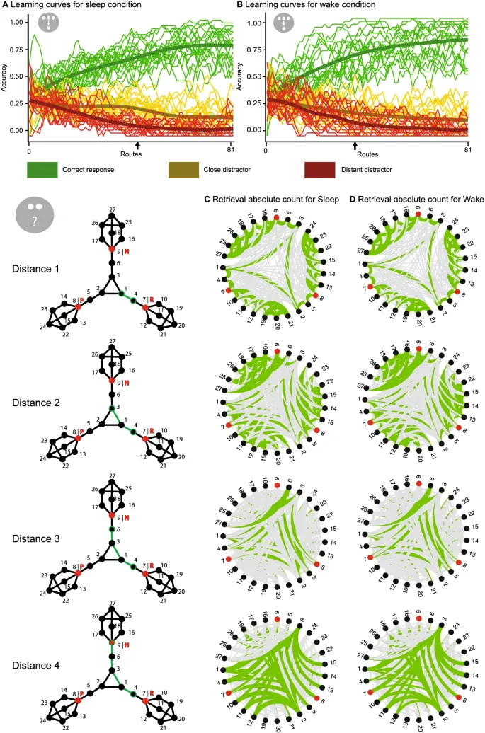 Figure 3: Индивидуальные кривые обучения и извлечения.