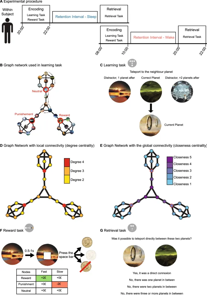 Figure 1: Визуализация графовой сети и экспериментального дизайна.