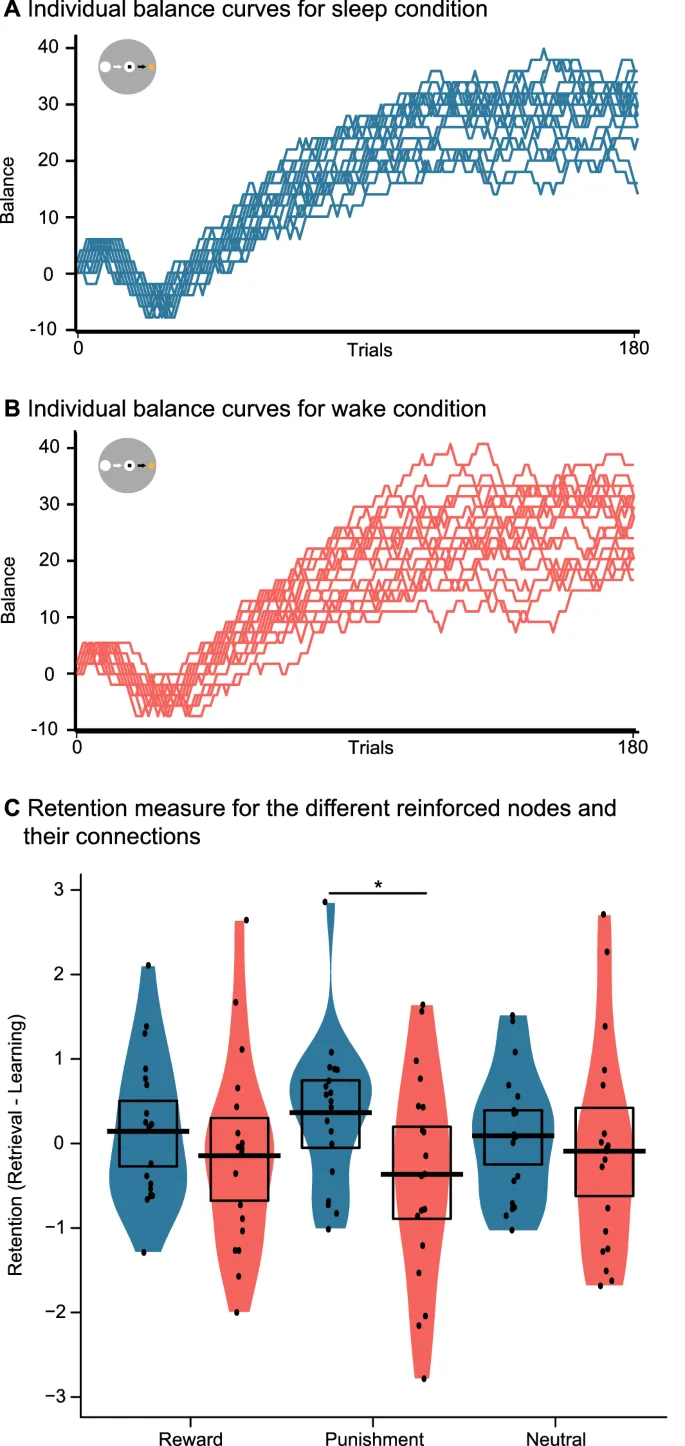 Figure 4: Результаты подкрепления.