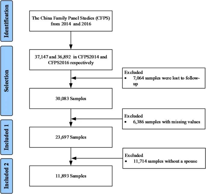 Рисунок 2: Блок-схема участников исследования