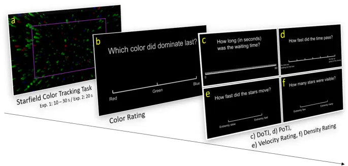 Рисунок 1: Экспериментальный дизайн и стимулы.