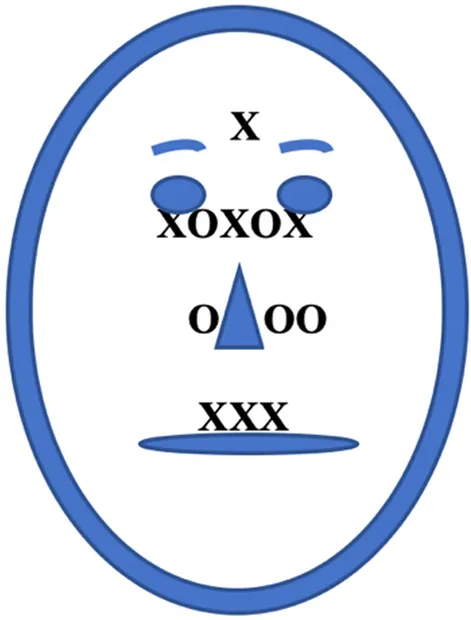 Схематическое изображение паттернов взгляда западных и восточных участников на лицевые стимулы.