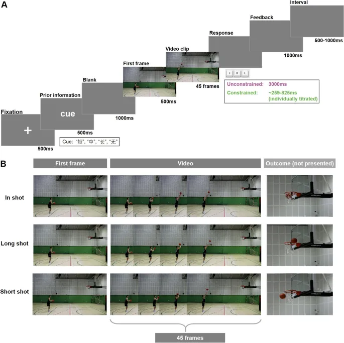 Рис. 1. Экспериментальный дизайн и стимулы.