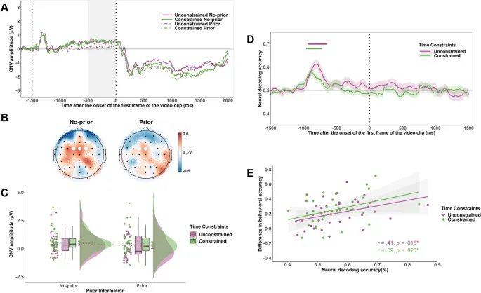Рис. 3. Нейронная активность: CNV.