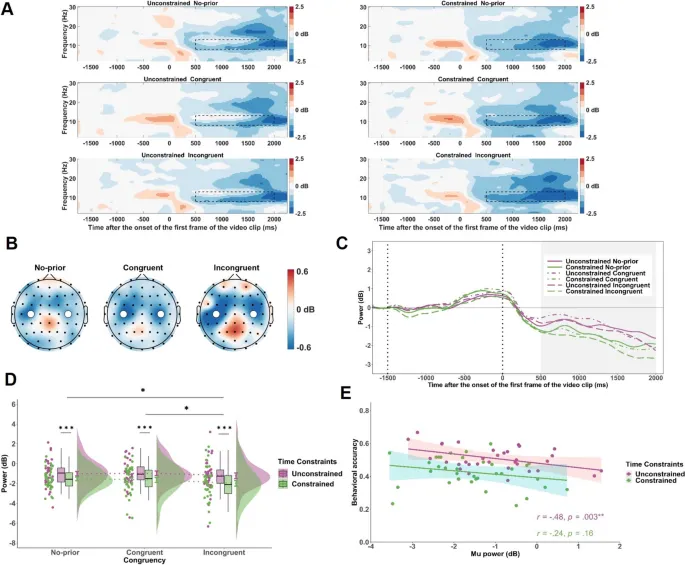 Рис. 5. Временно-частотные результаты для активности в мю-диапазоне.