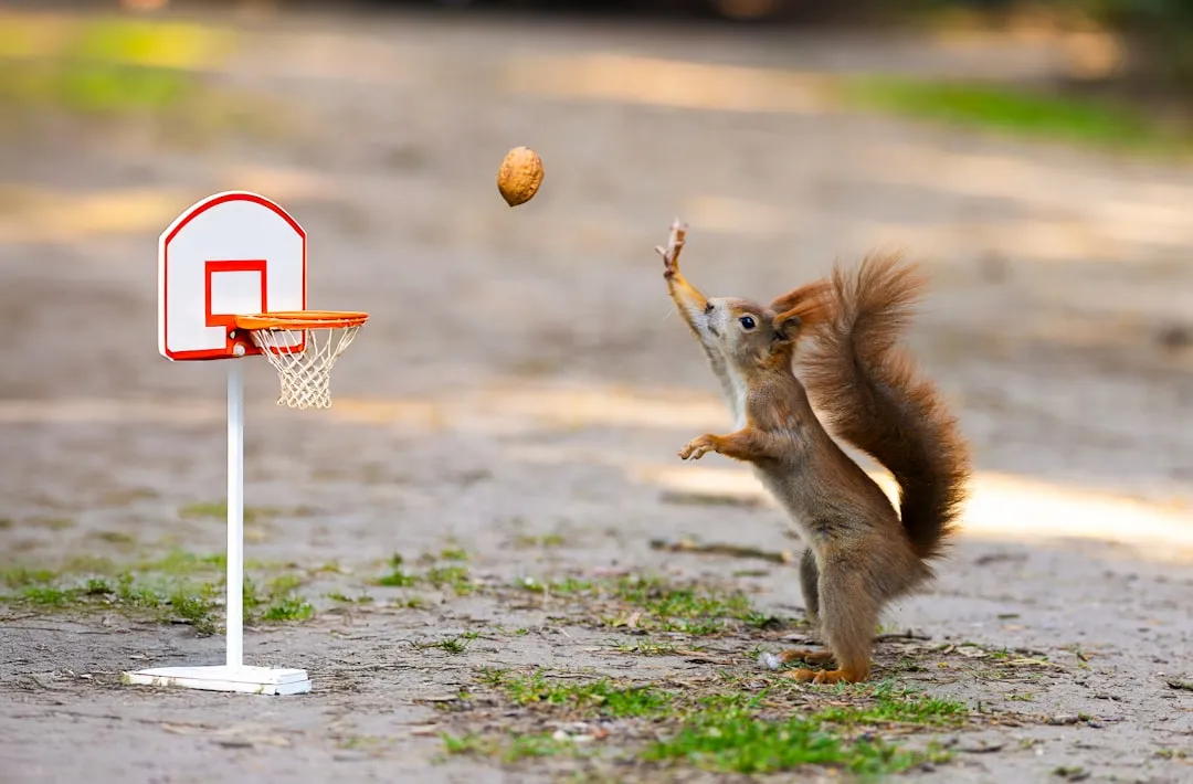 Влияние временных ограничений на предвидение действий: нейробиологический и поведенческий анализ