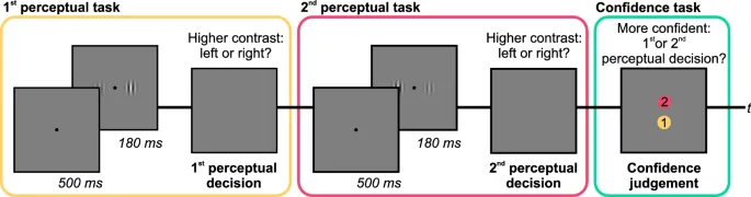Фигура 1: Схема типичного испытания