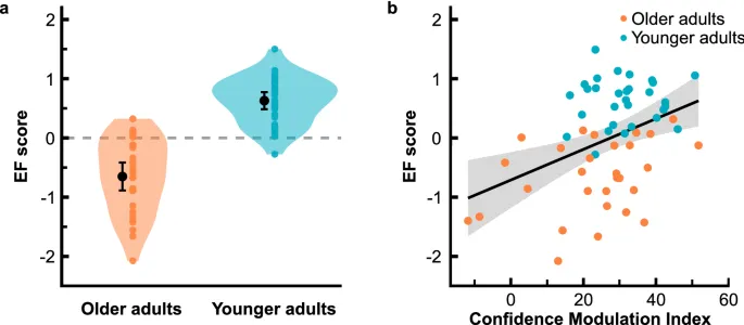 Фигура 6: Исполнительные функции и эффективность уверенности