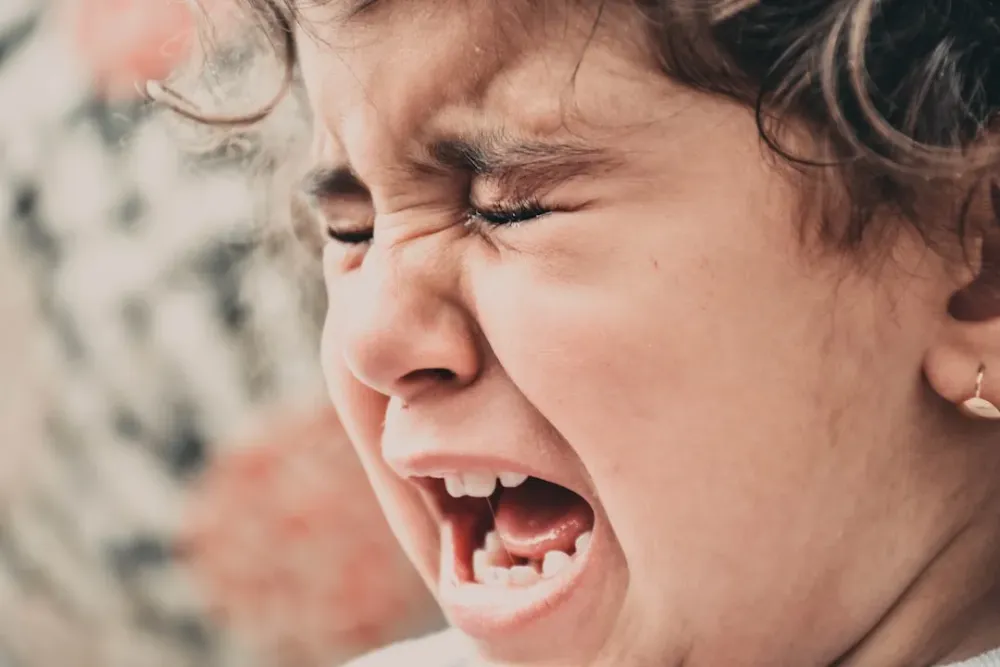 Взаимосвязь родительского выгорания и выражения эмоций: динамический анализ